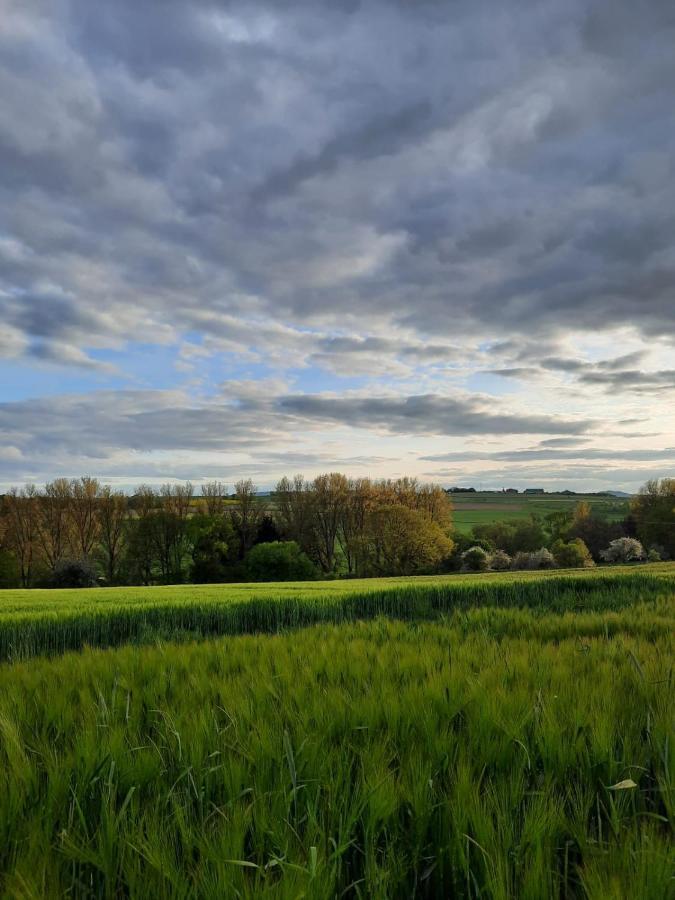 Ferienwohnung in Fuldatal bei Kassel Bagian luar foto
